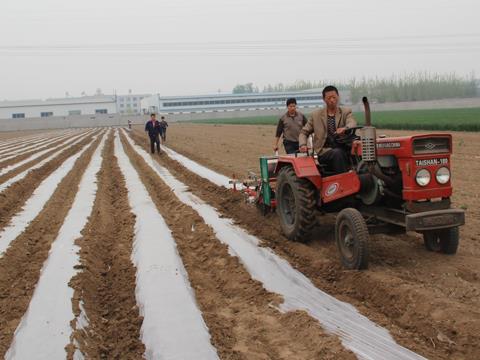 花生播種機工作現(xiàn)場